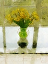 A Vase with Narcissus-zl.jpg