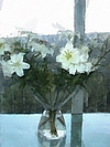 Flowers-025-t.jpg