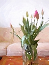 My Tulips-001-g.jpg
