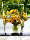 Narcissus-001-w.jpg